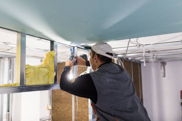 Best Insulation for Specific Applications in Roscoe, IL