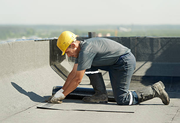 Best Residential Insulation in Roscoe, IL