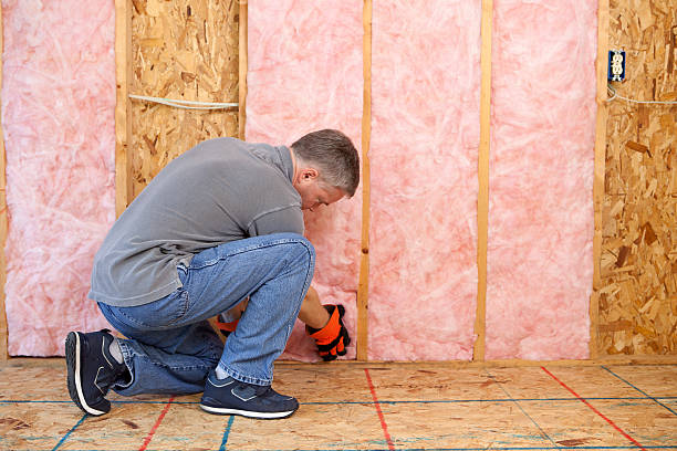 Best Insulation Installation Services in Roscoe, IL